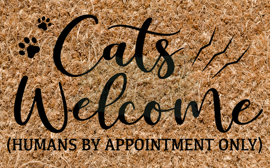 Cats welcome - Humans by appointment only