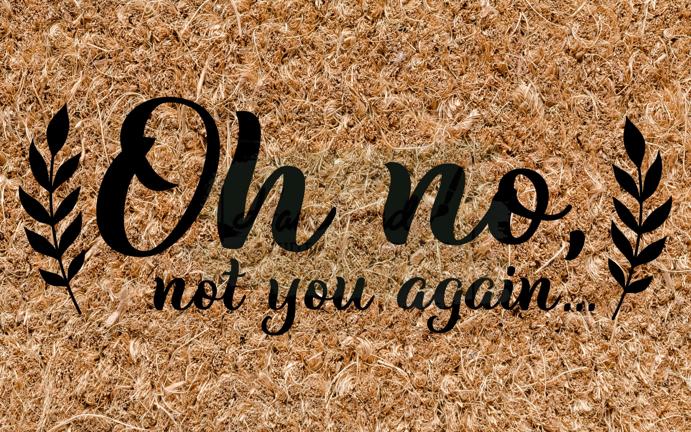 Zerbino Personalizzato 'Oh No. Not You Again!' In Velluto - 45x70 Cm, Antiscivolo, Assorbente
